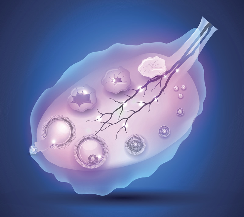 云南有哪些医院提供私三代试管婴儿生殖服务及兼顾大人和小孩需求？
